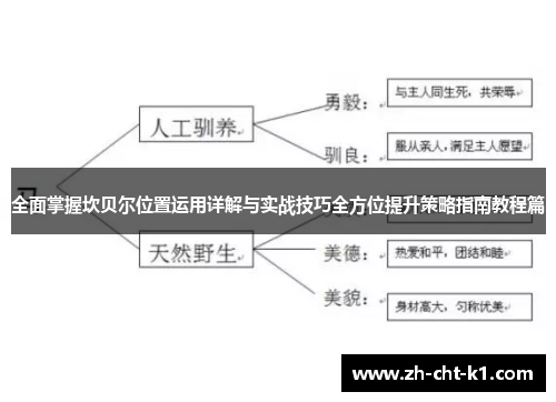 全面掌握坎贝尔位置运用详解与实战技巧全方位提升策略指南教程篇