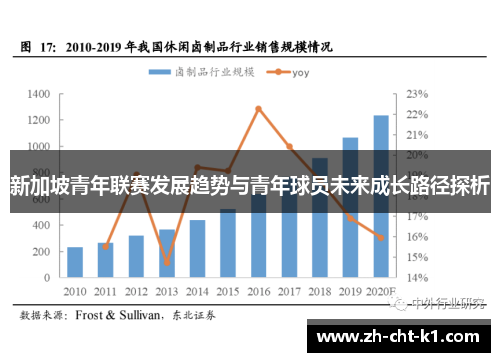 新加坡青年联赛发展趋势与青年球员未来成长路径探析