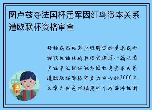 图卢兹夺法国杯冠军因红鸟资本关系遭欧联杯资格审查 图卢兹夺法国杯冠军因红鸟资本关系遭欧联杯资格审查