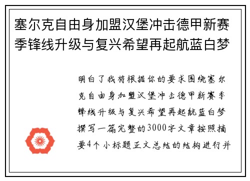 塞尔克自由身加盟汉堡冲击德甲新赛季锋线升级与复兴希望再起航蓝白梦